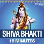 Shiva Bhakti - 15 Minutes - Udit Narayan Song Download
